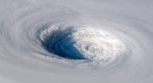 Путь тайфуна: взгляд из космоса (6 фото + 1 видео)