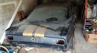 В США среди хлама нашли редкий прокатный Mustang Shelby (8 фото)