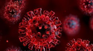 Россия оказалась на первом месте по числу жертв коронавируса на душу населения (2 фото)