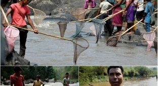 Традиционная ловля рыбы в индийской реке (12 фото)