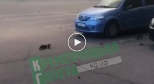 Видео прилета в первые секунды ТЦ в Кременчуге от очевидцев