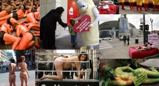 Топ-10 акций протестов организации PETA (10 фото)