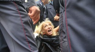 Девушки из FEMEN выкосили клумбу (17 фото + видео)