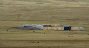 Зачем монголы ставят заборы посреди степей (6 фото)