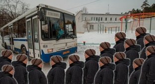 Пользователи шутят о том, что бабушки не пускают автобусы с больными китайцами в Екатеринбург (14 фото)