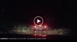 Ночное нападение жирафа на автомобили