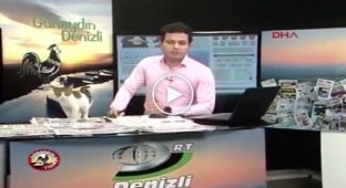 Пушистый сюрприз в прямом эфире турецкой телевизионной программы