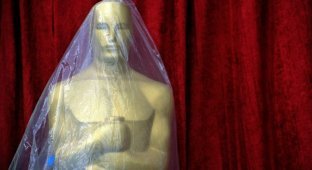 Оскар-2011: Номинанты (35 фото)