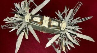 Мать всех швейцарских складных ножей (5 фото)