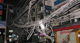  Провода в Бангкоке (19 фото)