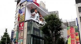 В Токио реклама вышла на новый уровень футуристичности