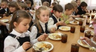 Отмена обедов в школах: родителям придется платить 1700 грн в месяц