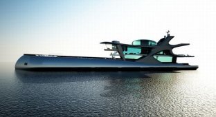 Белуга - самая крутая яхта в мире (14 фото)