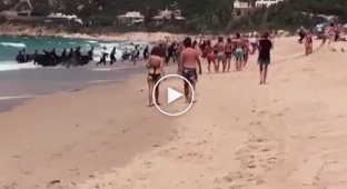 Нелегальные мигранты высадились на испанском пляже