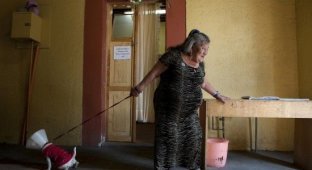 Дом пенсионеров для проституток (5 фотографий)