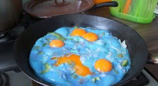 Голубая яичница (10 фото)