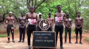Африканцы записали видео для горе-губернатора Санкт-Петербурга Александра Беглова