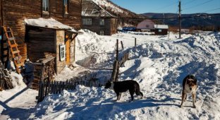Как живет поселок Приисковое сегодня (24 фото)