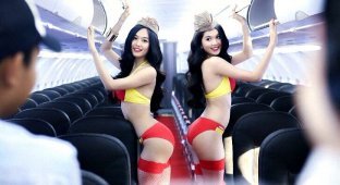 Секс на высоте: 10 громких интим-скандалов на борту самолета (8 фото)