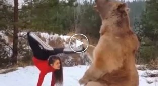 Необычная фотосессия с медведем