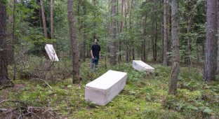 Ученый из Нидерландов Боб Хендрикс создал первый в мире "живой гроб" (4 фото)