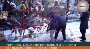 Киев также соболезнуют семьям погибших в Кемерово