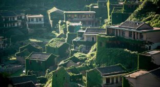 Китайская деревня-призрак, переходящая во власть природы (20 фото)