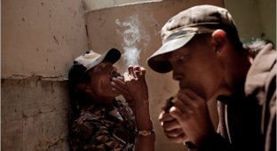 Наркотики – главная проблема Южной Америки (15 фото)