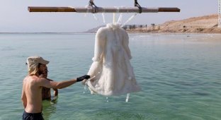 За два года в Мертвом море свадебное платье превратилось в произведение искусства (9 фото)