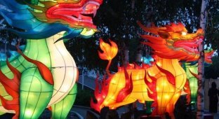 Chinese Lantern Festival (51 фото)