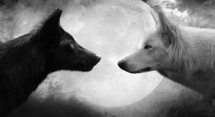 Притча «Два волка» (1 фото)