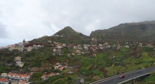 Мадейра - жемчужина Атлантики (25 фото)