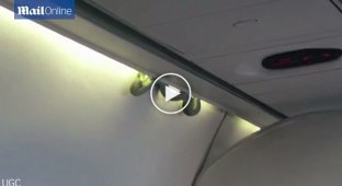 Змея, неожиданно появившаяся в самолёте, не на шутку перепугала пассажиров