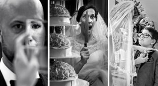 Волшебные истории от лучших свадебных фотографов 2017 года (67 фото)