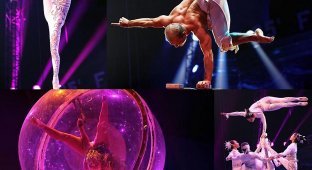 35-й Международный фестиваль циркового искусства в Монте-Карло (10 фото)