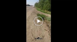 Два не вежливых человека на трассе. Драка с охранником камеры в Ростовской области (мат)