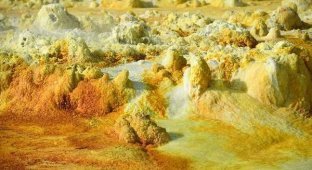 Данакильская соляная долина – самое безжалостное место на Земле (21 фото)