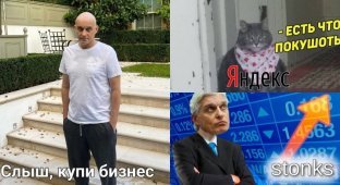"Тянкекс" или "Тинь-Янь"? Реакция соцсетей на слияние "Яндекса" и "Тинькофф банка" (10 фото)