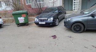 Есть пробитие! В Волгограде жители многоэтажки жестко проучили автомобилиста (5 фото)