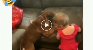 У пса и ребенка обнаружилась общая проблема