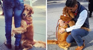 Собака, которая очень любит обниматься (10 фото)