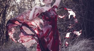 Фотограф из Канады создала прекрасное и немного жутковатое «кровавое платье» (4 фото)