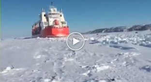 Арктическая экспресс доставка