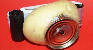 Австралиец собрал рабочую фотокамеру из картошки (6 фото)