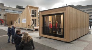 В Нидерландах прошел конкурс на лучший проект дома для беженцев (8 фото)