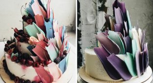 Российская кондитерская покорила Instagram своим тортами с шоколадными «мазками» (15 фото)