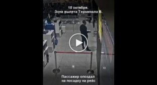 Опоздавший на рейс грузин устроил истерику и погром в Шереметьево