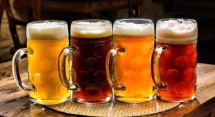 10 миллионов литров пива уничтожат французские пивовары (3 фото)