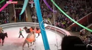Падение воздушной гимнастки в кировском цирке