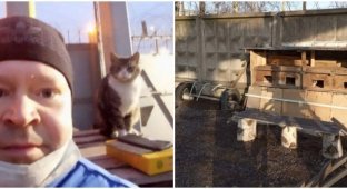 Охранник завода в Петербурге попытался расследовать пропажу любимых кошек и лишился работы (4 фото + 2 видео)